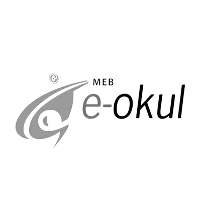 Fen Koleji